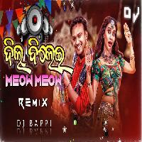 Dil Bilei Meow Meow-Odia Dj Mix Song-Dj Bapi
